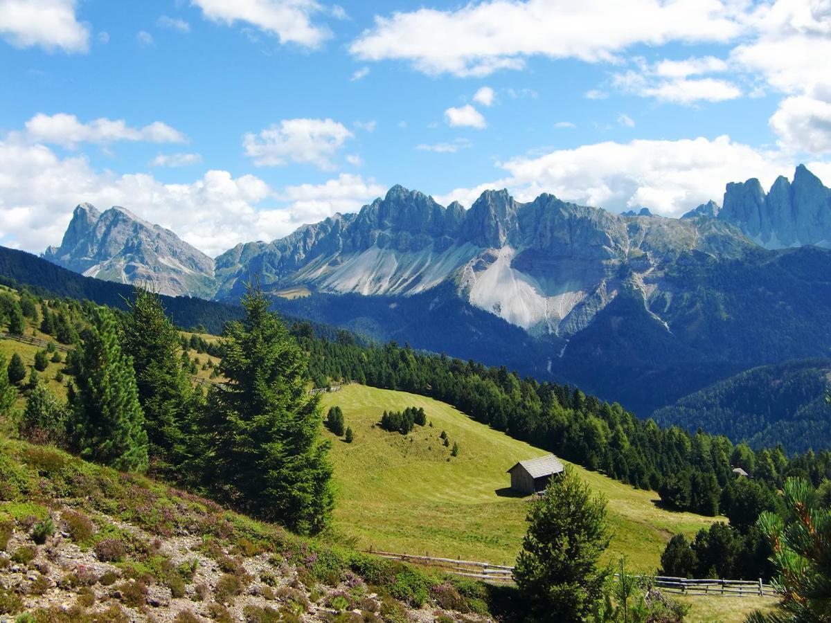 Mountain Residence Alpenhof - Company Hotel Alpenhof Kg Sas Der Gasser Renate Μπρεσανόνε Εξωτερικό φωτογραφία