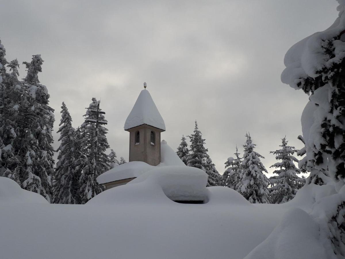 Mountain Residence Alpenhof - Company Hotel Alpenhof Kg Sas Der Gasser Renate Μπρεσανόνε Εξωτερικό φωτογραφία