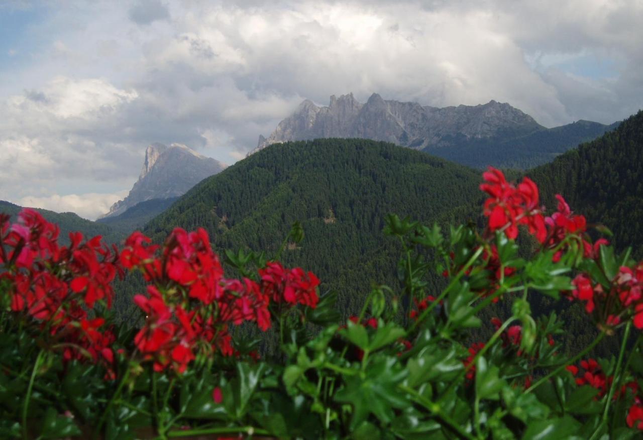 Mountain Residence Alpenhof - Company Hotel Alpenhof Kg Sas Der Gasser Renate Μπρεσανόνε Εξωτερικό φωτογραφία