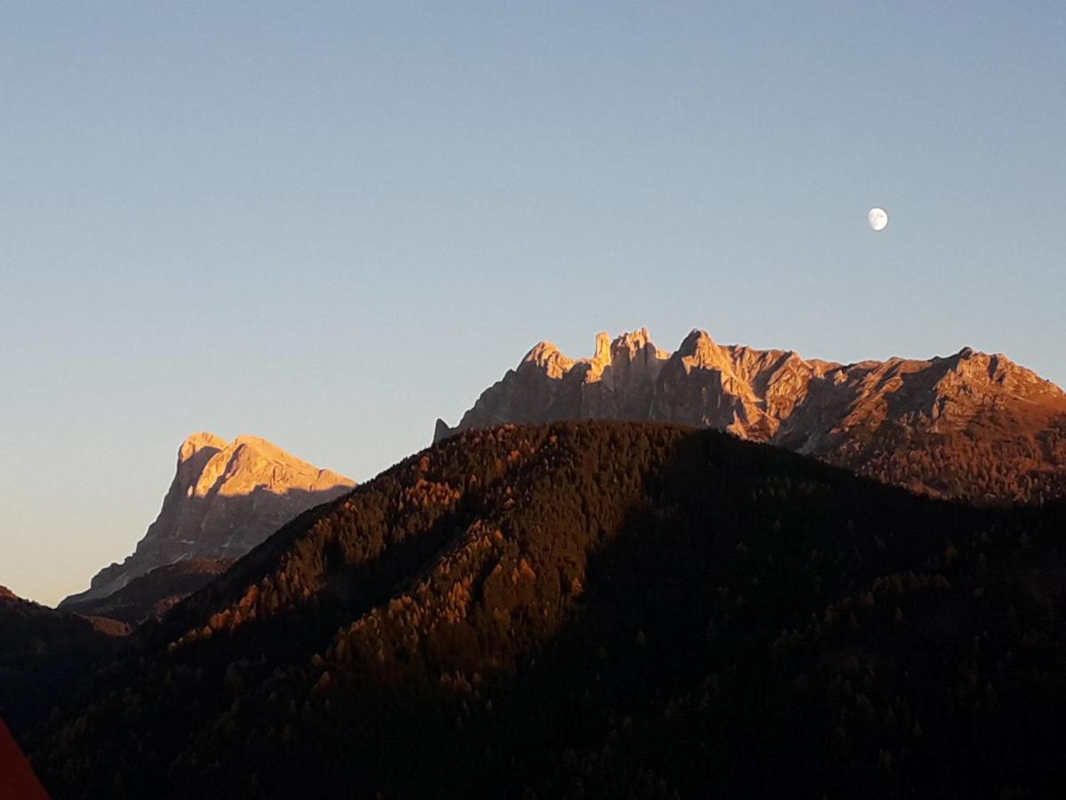 Mountain Residence Alpenhof - Company Hotel Alpenhof Kg Sas Der Gasser Renate Μπρεσανόνε Εξωτερικό φωτογραφία